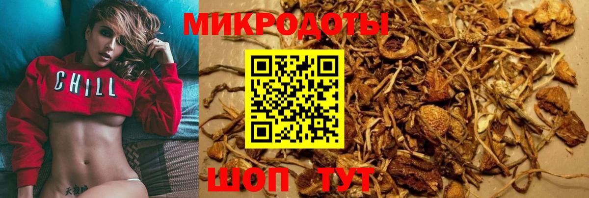 Галлюциногенные грибы GOLDEN TEACHER Вышний Волочёк