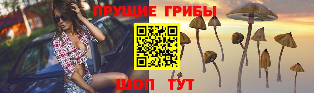 Галлюциногенные грибы MAGIC MUSHROOMS  Галлюциногенные грибы Psilocybine cubensis  Вход с VPN  Вышний Волочёк 